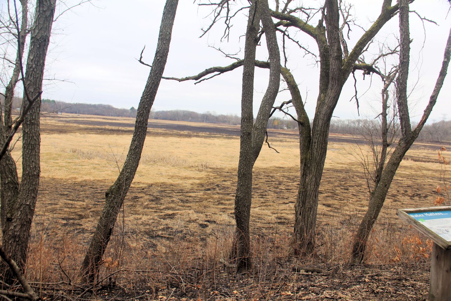 McHenry Dam State Park 